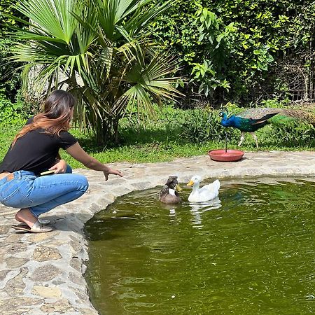 Hotel Campestre Cafe Cafe Montenegro Ngoại thất bức ảnh